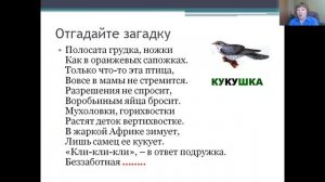 Е.А. Благинина «Кукушка»
