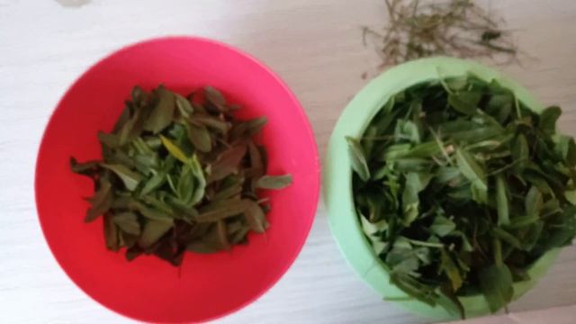 Щавель. Витамины под ногами. смотреть онлайн