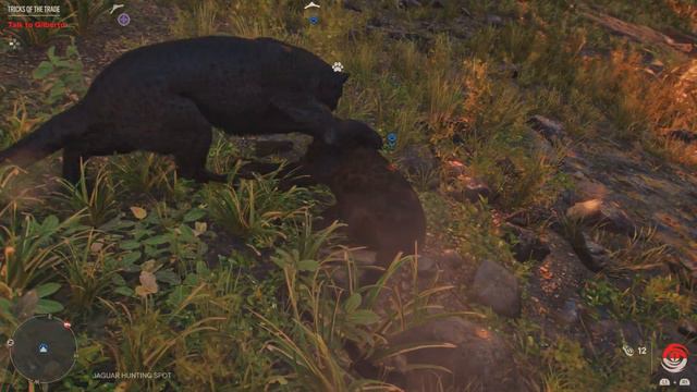 Far Cry 6 Oluso the Black Jaguar vs Wild Black Jaguar смотреть онлайн