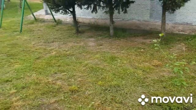 СУПЕР Грядка для Морковки./ Прополоть за ПЯТЬ минут. смотреть онлайн