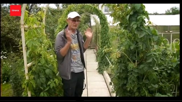 Джентльмен у дачи: как сделать красоту на небольшом участке смотреть онлайн