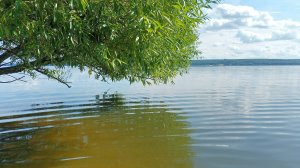 Сом на резинку, первый опыт)) Отличная погода на Сурском водохранилище!)))