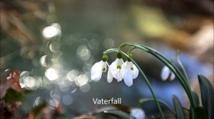 Ильнур Мусин