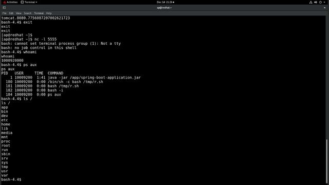 Log4shell/log4j bug vs. Red Hat Advanced Cluster Security смотреть онлайн