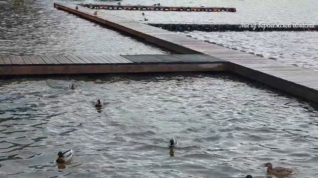 НАБЕРЕЖНАЯ ПАРКА 