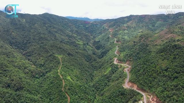 Bernie Leggett Edythe Haller Sade Conyers Bernie Leggett смотреть онлайн
