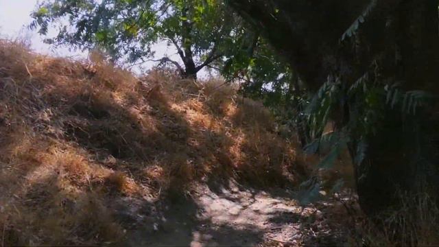 Bertrand Russell | The Problems of Philosophy | Chapter 9: The World of Universals смотреть онлайн