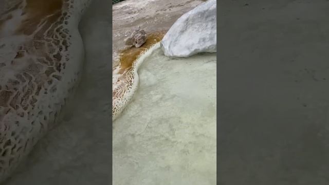 Памир.Гарм Чашма.Ишкошим смотреть онлайн