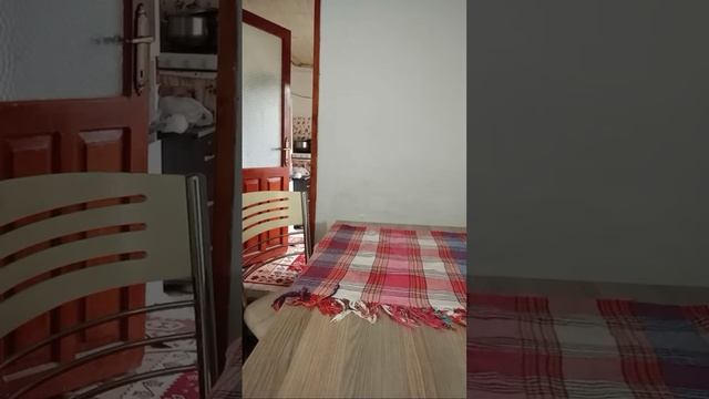 #canlıyayın  Buzluktan Biberleri Çıkardım Kış Dolması Donmuş Sütlü Biber Dolması Yapıyorum