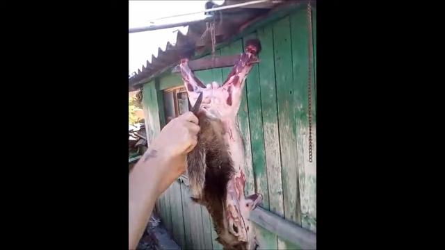 Финский нож Алексея Мельницкого в деле смотреть онлайн