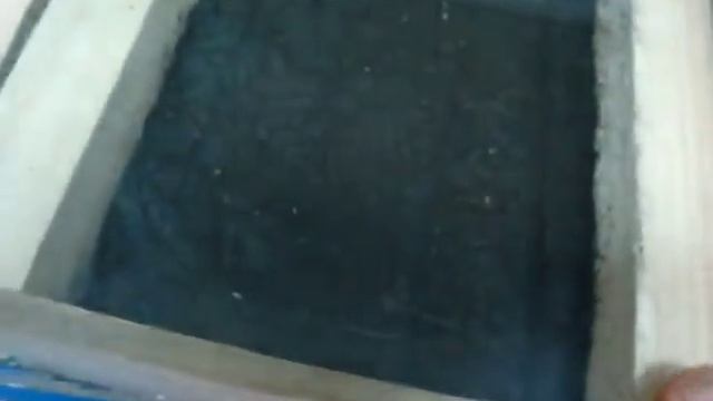 Высаживание рассады питуний на клумбу смотреть онлайн