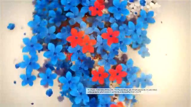 АКЦИЯ ЛЕТО-HD смотреть онлайн