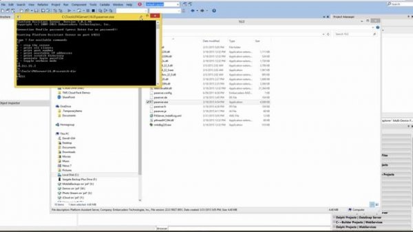 RAD Studio - Setup Guide - Preparing your Windows 32-bit and 64-bit Development Environment