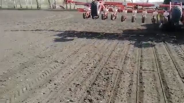 Демо посев сахарной свеклы Штрубе РусАгро 30.04.2020 смотреть онлайн