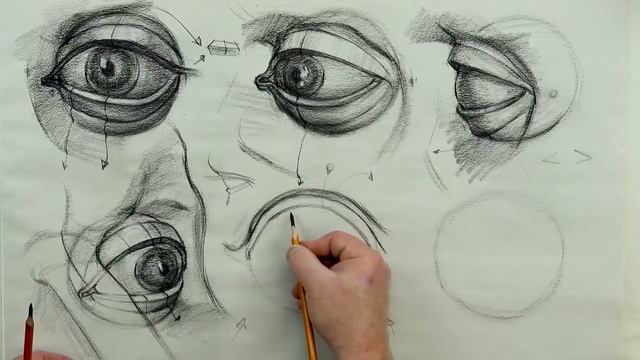 ANATOMY FOR ARTISTS: Eye Anatomy смотреть онлайн