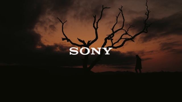 Sony Alpha 7R V Cinematic Video Footage - LAUNCH FILM смотреть онлайн