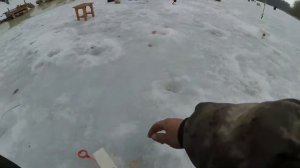 Секретный ингредиент. На ЧТО клюёт ОКУНЬ, по последнему льду!?