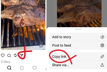 Unlock The World Of Threads Videos: Download With SnapThreads.Net