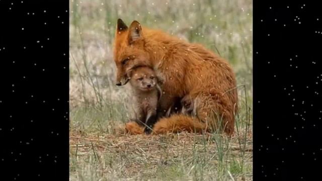 Моё волшебство видео картинок, Сказка смотреть онлайн