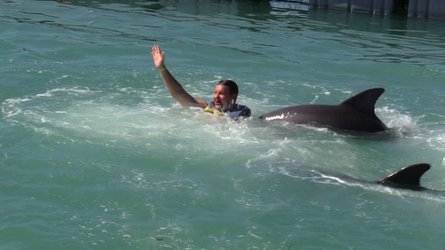 2022-10-31 смотреть онлайн