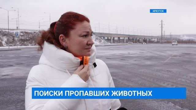 Поиски потерявшихся домашних животных смотреть онлайн