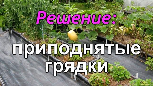 СУПЕР ИДЕЯ ! Огород своими руками. Новые идеи и неограниченные возможности / Как это / Дачный СПАС смотреть онлайн
