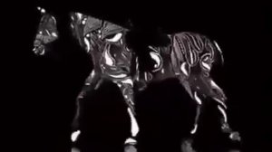 ? Тест КУДА ИДЕТ ЛОШАДЬ: вперед или назад?