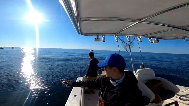 SeaBass War: Slow Pitch Jigging vs. Gulp. Which catch more? смотреть онлайн