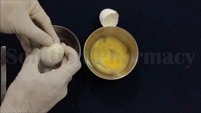 Microbiology 61 = Moist Heat Sterilization | Working Principle of Autoclave + Demonstration смотреть онлайн