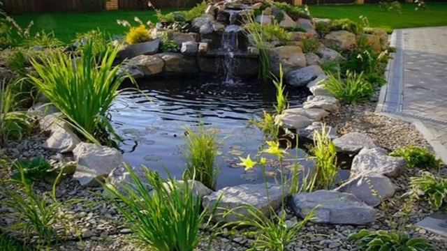 Водоем в саду смотреть онлайн