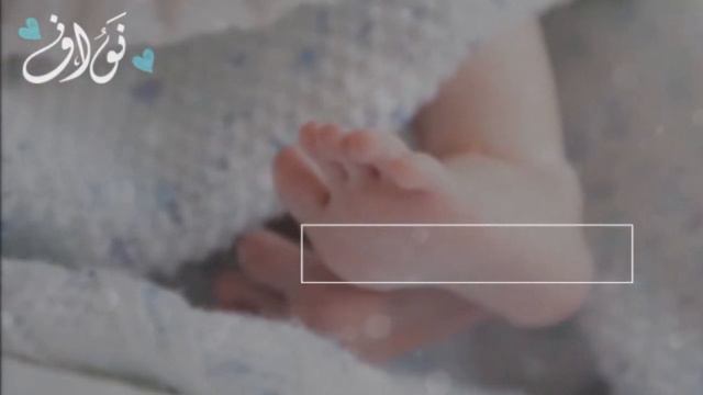 بشارة مولود 2023 باسم نواف كلماتنا انشادنا & شيلة الدحه مواليد & بشارة مولود لحن الدحه смотреть онлайн