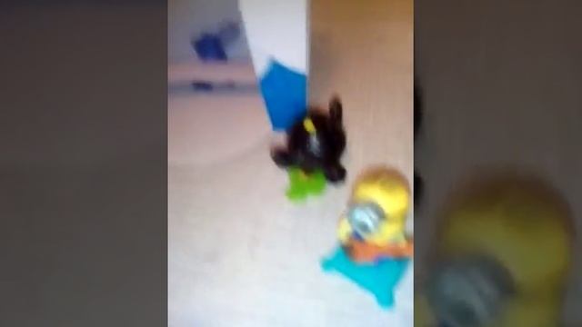 Как сделать магазин своими руками смотреть онлайн