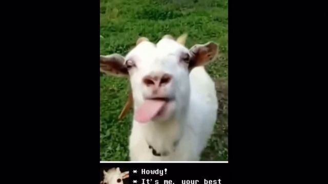 UNDERTALE FLOWEY RTX infinity [READ DESCRIPTION] смотреть онлайн