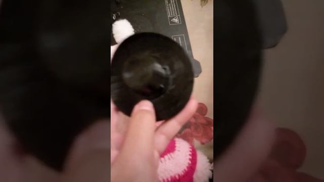 ШЛЯПА ДЛЯ УТКИ! КОВБОЙСКАЯ ШЛЯПА! смотреть онлайн