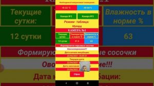 Таблица инкубации мулардов в телефоне