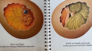 Как рождаются цыплята? История одного яйца.