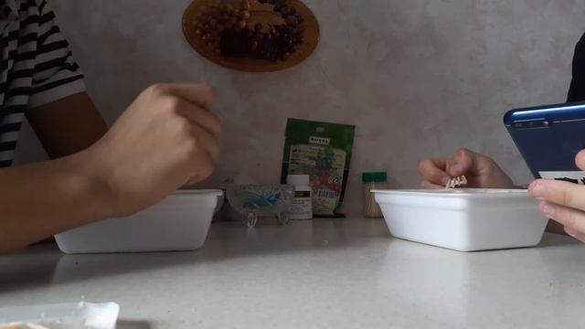 ОБЗОР НА ДОШИРАК Feat. МИЛФПАНККИЛЛЕР.(видео).(prod By Cloud Si) КОНЕЦ ВИДЕО ПОШЁЛ НЕ ПО ПЛАНУ