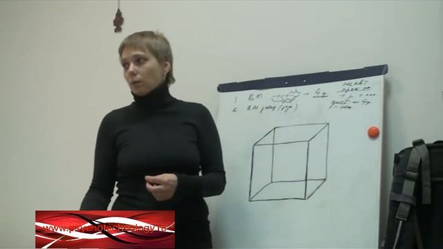 Психонетика. Выпуск 7: Классификация и феноменология волевой медитации смотреть онлайн