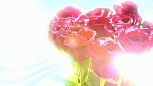 Футаж. Цветочный фон 53