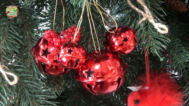 Агрогороскоп с 21 по 24 декабря 2022 года Агрогороскоп з 21 по 24 грудня 2022 року смотреть онлайн