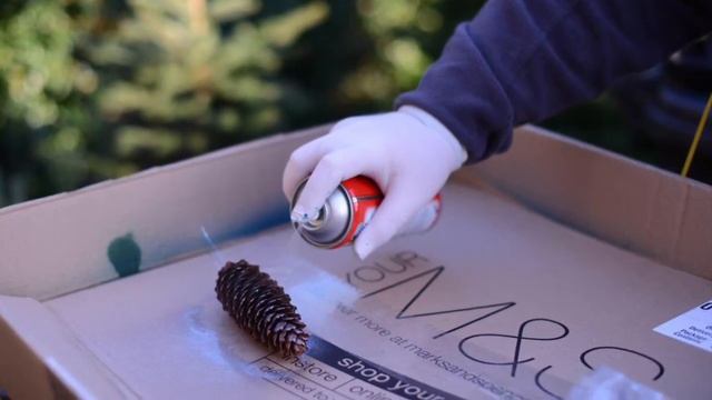 538. Как задекорировать шишки? How to decorate the cones? Como decoracion los comps? смотреть онлайн