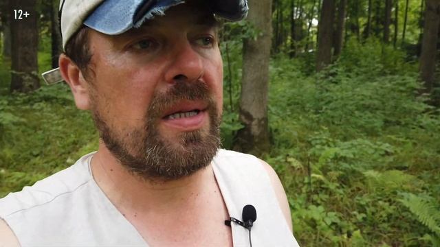 Анализ ситуации на лесном участке. Начало проектирования загородного дома. На что нужно смотреть? смотреть онлайн