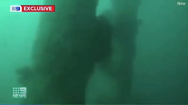 Схватка подводного охотника с одной из самых агрессивных акул попала на видео смотреть онлайн