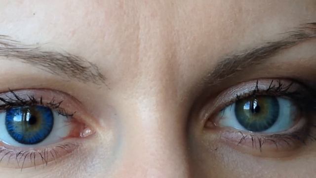 Секреты Руководства