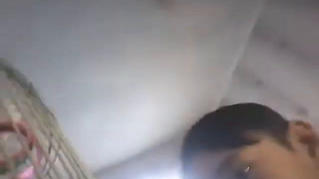 Нам подарили попугаев они очень красивые это пара волнистой породы смотреть онлайн