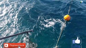 Красны флаг на море  Риф Оазис Блю Бэй Резорт 2020 Шарм эль Шейх Египет