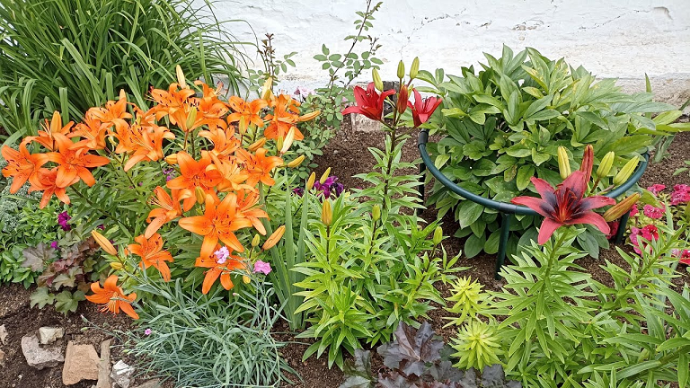 Сибирь. Село Туим, Хакасия. В гостях у подружки! Обзор цветочного сада! смотреть онлайн