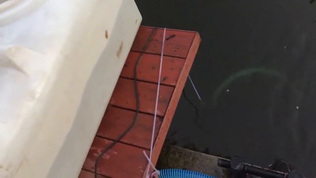 Водяной Насос для пруда водоема SunSun CTP-16000 смотреть онлайн