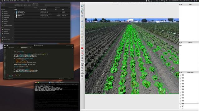 Crop Row Annotation Process смотреть онлайн
