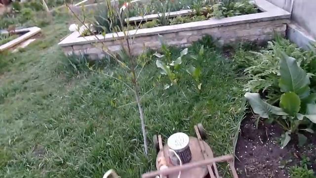 Раннее весеннее утро на даче и как я кошу свой естественный газон смотреть онлайн
